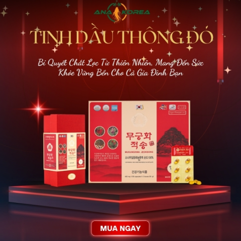 Nấm Thượng Hoàng Hàn Quốc thượng hạng 1kg